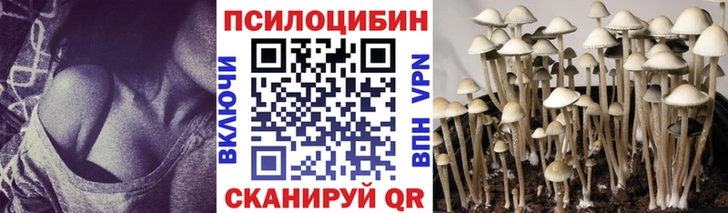 omg сайт  купить   Аксай  Галлюциногенные грибы Psilocybine cubensis 